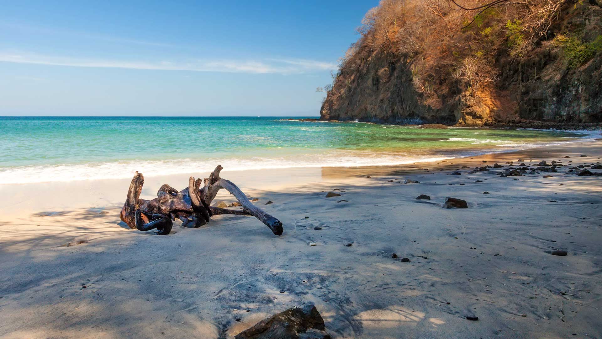 Tropical Dry Forest Costa Rica Dream Adventures