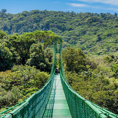 Best Hanging bridges tour in Costa Rica