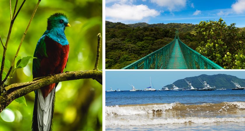 8 days Costa Rica- Monteverde and Tamarindo
