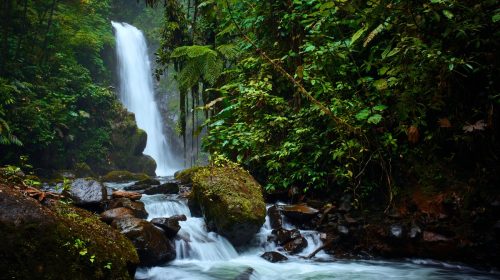 Costa Rica rainforest with waterfalls in the background