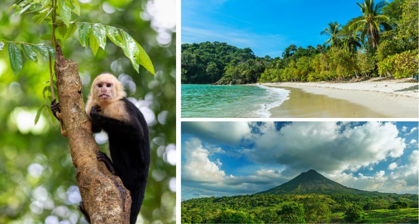 Costa Rica Wildlife Adventures: Experience the Magic of Nature