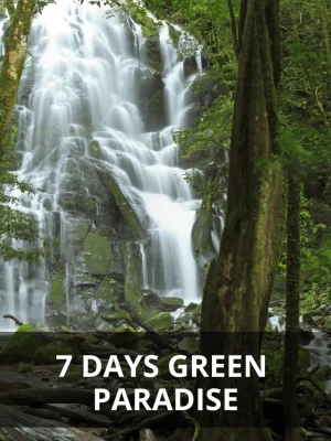 7-days-green-paradise