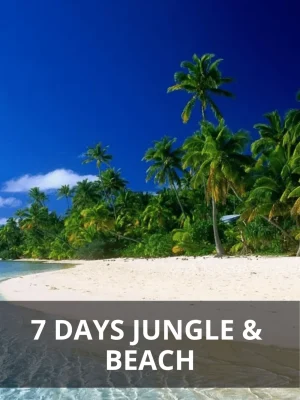 7-days-jungle-beach