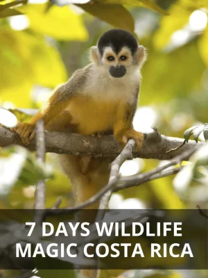 7-days-wildlife-magic-c-r
