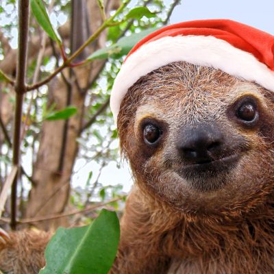 Holidays in Costa Rica Holidays in Costa Rica